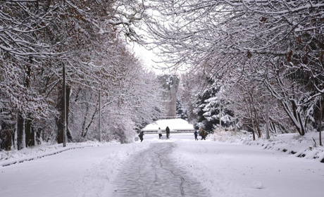 Усі свята грудня 2025 року: календар важливих дат і традицій