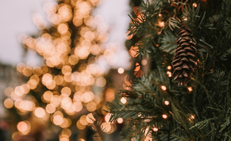 У Кременці не будуть встановлювати святкову ялинку