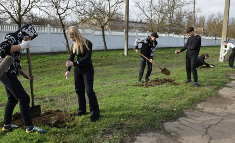 У Біляївці висадили Алею сакур: 50 нових дерев прикрасили місто
