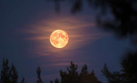 Місячний календар на грудень 2025: як планувати справи наприкінці року