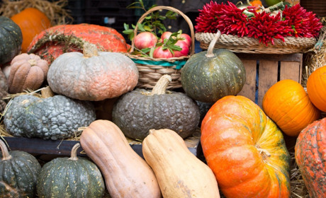 30 листопада: День гарбуза, День вічної молодості та інші свята, події, дати