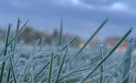 Тумани й незначні дощі: прогноз погоди у Гадячі на тиждень