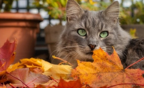 Погода на лівобережжі Херсонщини з 2 по 4 грудня: прогноз Українського гідрометеоцентру