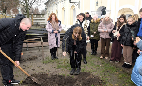 Саджанець нащадка дуба Сковороди висадили в Переяславі, його передали музейники з Харківщини
