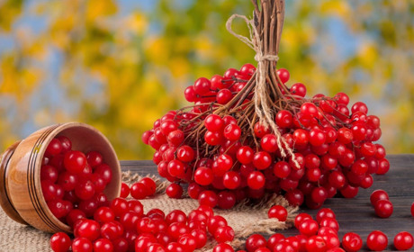 Корисна екзотика на вашому столі: рецепти з калини від Городок.City, які здивують насиченим смаком