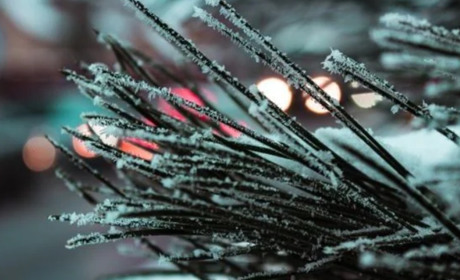 Погода у Гадячі на тиждень: хмарність, невеликі дощі та стабільно плюсова температура