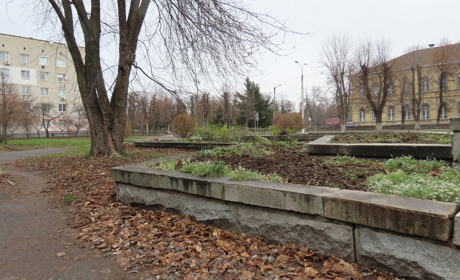 Зима на календарі, а не на вулиці: чому Черкащина знову в теплій пастці атмосфери