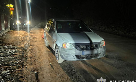 На Кременеччині під колеса авто потрапили мама з дитиною