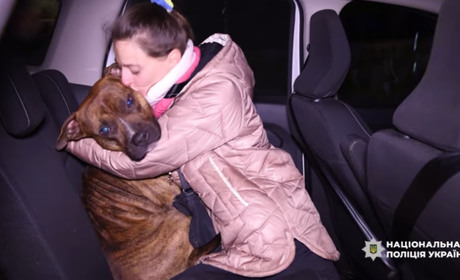 Собаку, що напав на поліцейських у Полтаві, повернули власникам: триває слідство