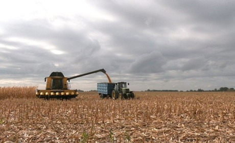 Жнивна кампанія на Черкащині виходить на фінішну пряму