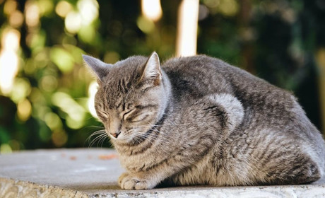 Погода на лівобережжі Херсонщини з 11 по 13 грудня: прогноз Українського гідрометеоцентру