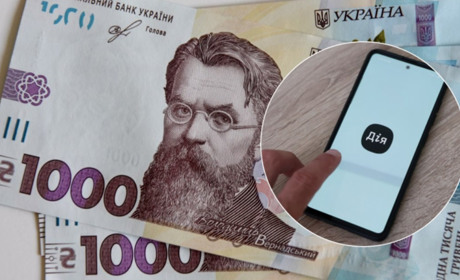 "Зимова тисяча": де й на які товари можна використати виплату