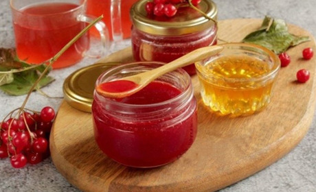 Протерта калина з цукром на зиму без варіння: користь, рецепти та секрети збереження