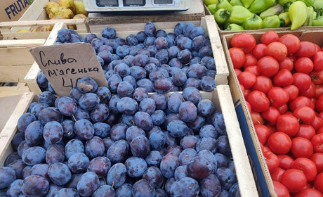 Інфляція на Миколаївщині у листопаді сягнула 0,6%