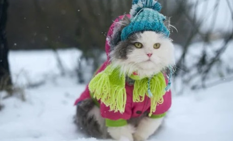 Погода на лівобережжі Херсонщини з 18 по 20 грудня: прогноз Українського гідрометеоцентру