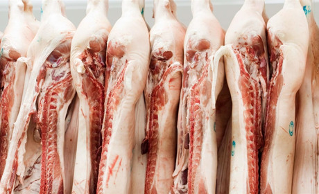 В Україні упали ціни на свинину: живою вагою закуповують по 70 грн, у супермаркетах втричі дорожча