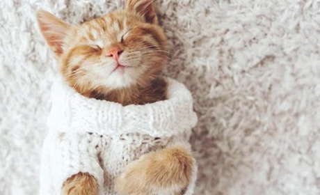 Погода на лівобережжі Херсонщини з 21 по 23 грудня: прогноз Українського гідрометеоцентру