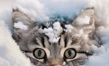 Яку погоду очікувати в останні дні року. Прогноз