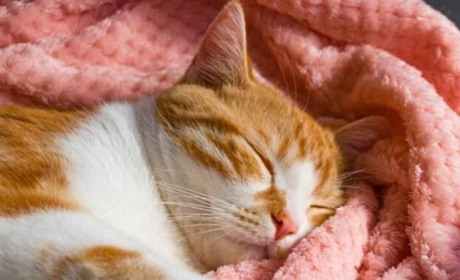 Погода на лівобережжі Херсонщини з 24 по 26 грудня: прогноз Українського гідрометеоцентру