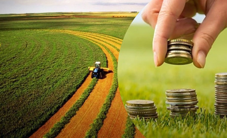 Розрахунок МПЗ для громадян: які суми земельного податку включаються до заліку