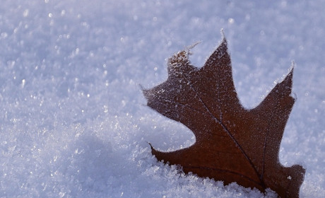 Гід по січню 2026: головні свята, пам’ятні дати та кого вітати з іменинами