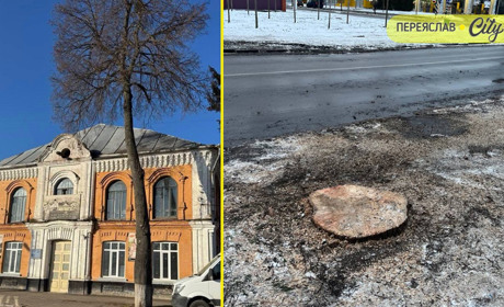 Липа у Переяславі не вижила: комунальники її рятували, а потім спиляли