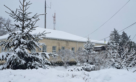 Новий рік зі снігом і морозами: прогноз погоди у Гадячі на тиждень