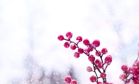 Церковні дати січня 2026: повний православний і католицький календар