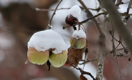 Зимові морози 2025: як розпізнати переохолодження і надати першу допомогу