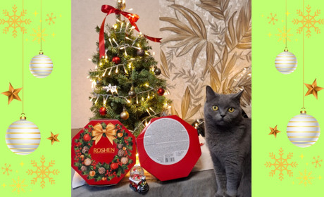 Попри війну та окупацію учні навчальних закладів Сірогозщини отримали новорічні подарунки