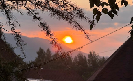 Відчуваєте втому вже 1 січня? Як за 24 години повернути собі енергію за допомогою digital-детоксу