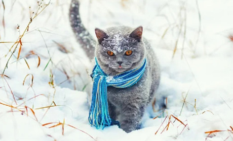 Погода на лівобережжі Херсонщини з 2 по 4 січня: прогноз Українського гідрометеоцентру