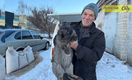 На базарі в Переяславі продавали кролицю за 1000 гривень, а фруктів було більше ніж овочів