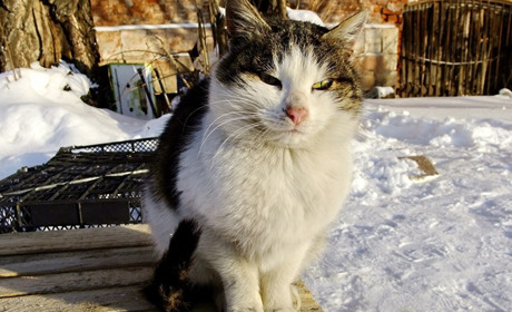 Погода на лівобережжі Херсонщини з 5 по 7 січня: прогноз Українського гідрометеоцентру