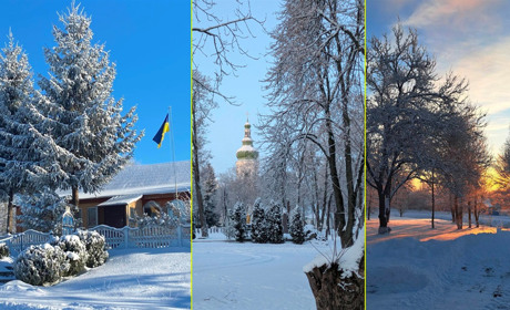 "Світлий і сповнений тепла": красивий зимовий день Переяславщини зберегли на фото його жителі