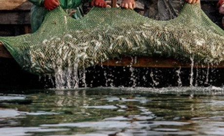 На Полтавщині за перші дні року зафіксували майже 30 порушень правил рибальства