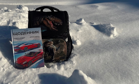 Через складні погодні умови школярі Полонщини перейдуть на дистанційне навчання: на скільки часу