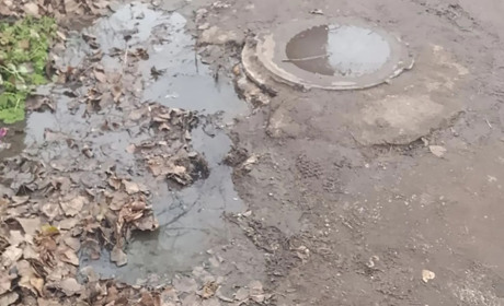 Екологічна загроза в Луганську: аварійний колектор заливає житлові райони