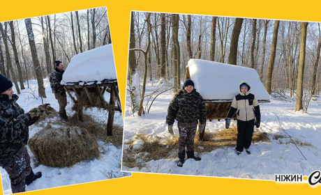 Зимова турбота про тих, хто не може попросити про допомогу