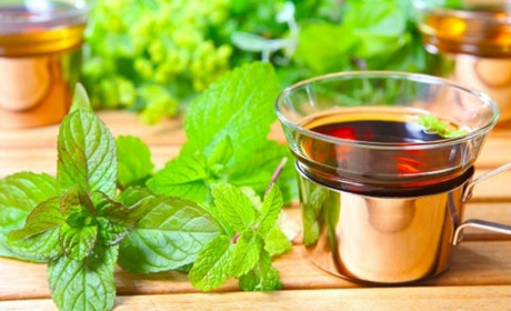 Настій, відвар чи чай: у чому різниця застосування трави меліси