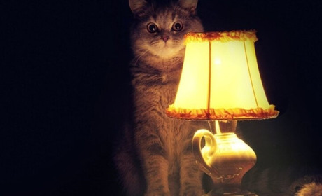 Період без світла скоротили у Бориспільському р-ні, але екстрені відключення електроенергії тривають