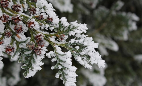 Погода у Старокостянтинові на 20-25 січня: морози ще тримаються, але потепління вже близько