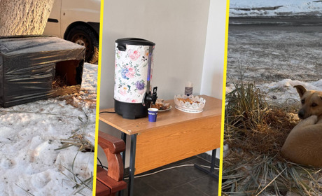 Тепло для кожного: як золотонісці підтримують одне одного і тварин у морозні дні