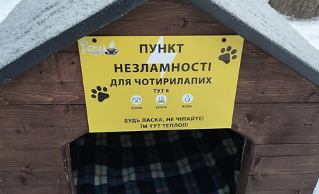 «Ми їх не виганяємо»: історії тварин, які «працюють» у магазинах Шосткинської громади»