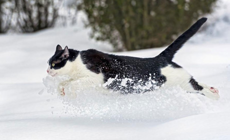 Погода на лівобережжі Херсонщини з 23 по 25 січня: прогноз Українського гідрометеоцентру