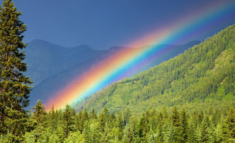 Про сім кольорів веселки