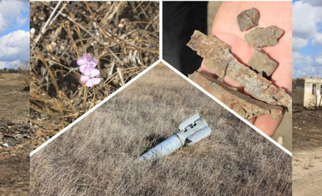 «Тварини не знають, що тут була війна»: фахівці «Бузького Гарду» дослідили екосистеми Миколаївщини