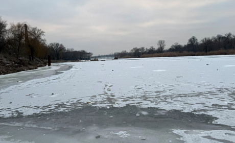 Які державні свята і визначні дні будуть у лютому 2026 року: лютневий календар