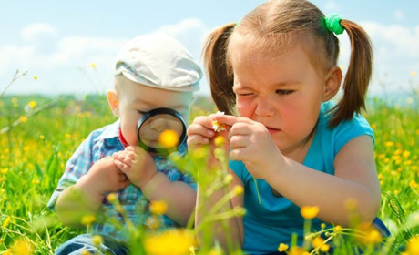26 січня: Всесвітній день екологічної освіти та інші дати, події, свята, народні прикмети