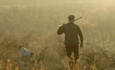 Незаконне полювання на Полтавщині: у чоловіка вилучили зброю та туші диких тварин